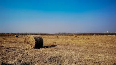 Κασολοτ Καζίνο Κινητη εφαρμογη